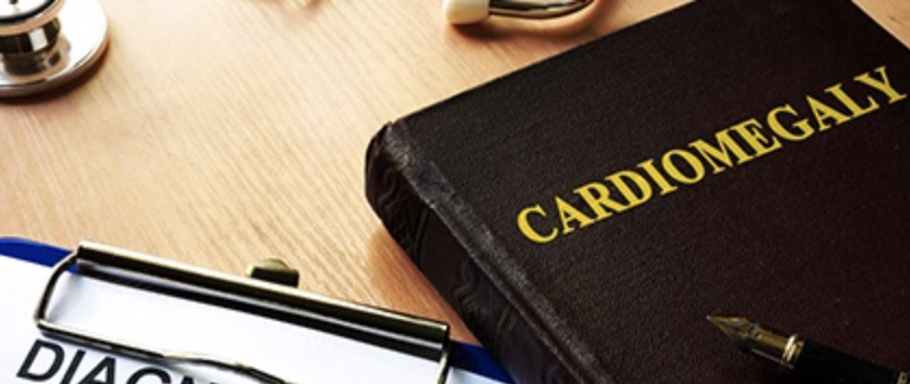 Hardcover book with the word "Cardiomegaly" laying on a table