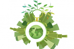 Certificate in Sustainable Business image