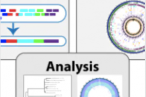 Bacterial Bioinformatics using PATRIC image