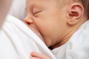 Breastfeeding Friendly Consortium Certification Courses  image